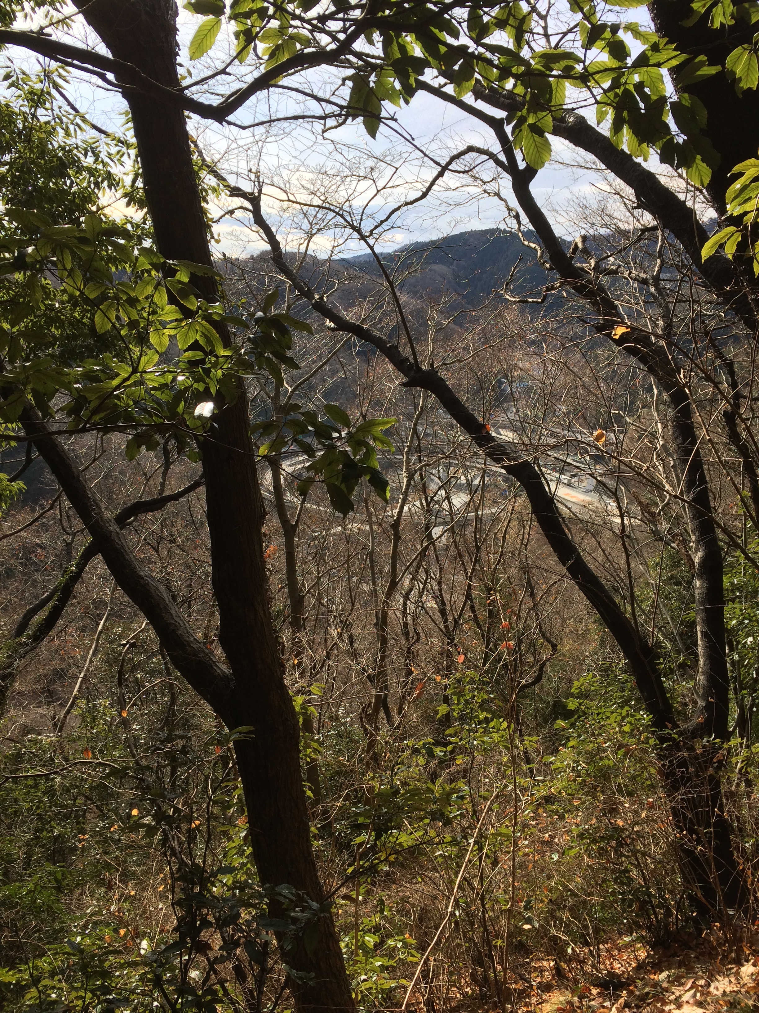 稲荷山コースから圏央道 高尾山インターチェンジを望む